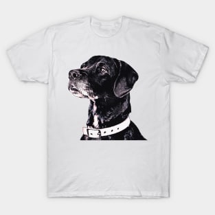 Black Labrador Retriever Art T-Shirt